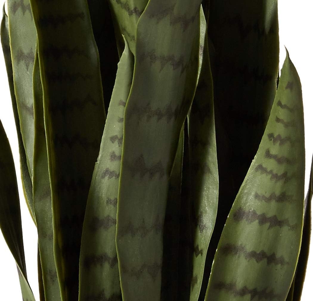 Versatile 35 Inch Sansevieria Plant for Home or Office – Black Planter Included
