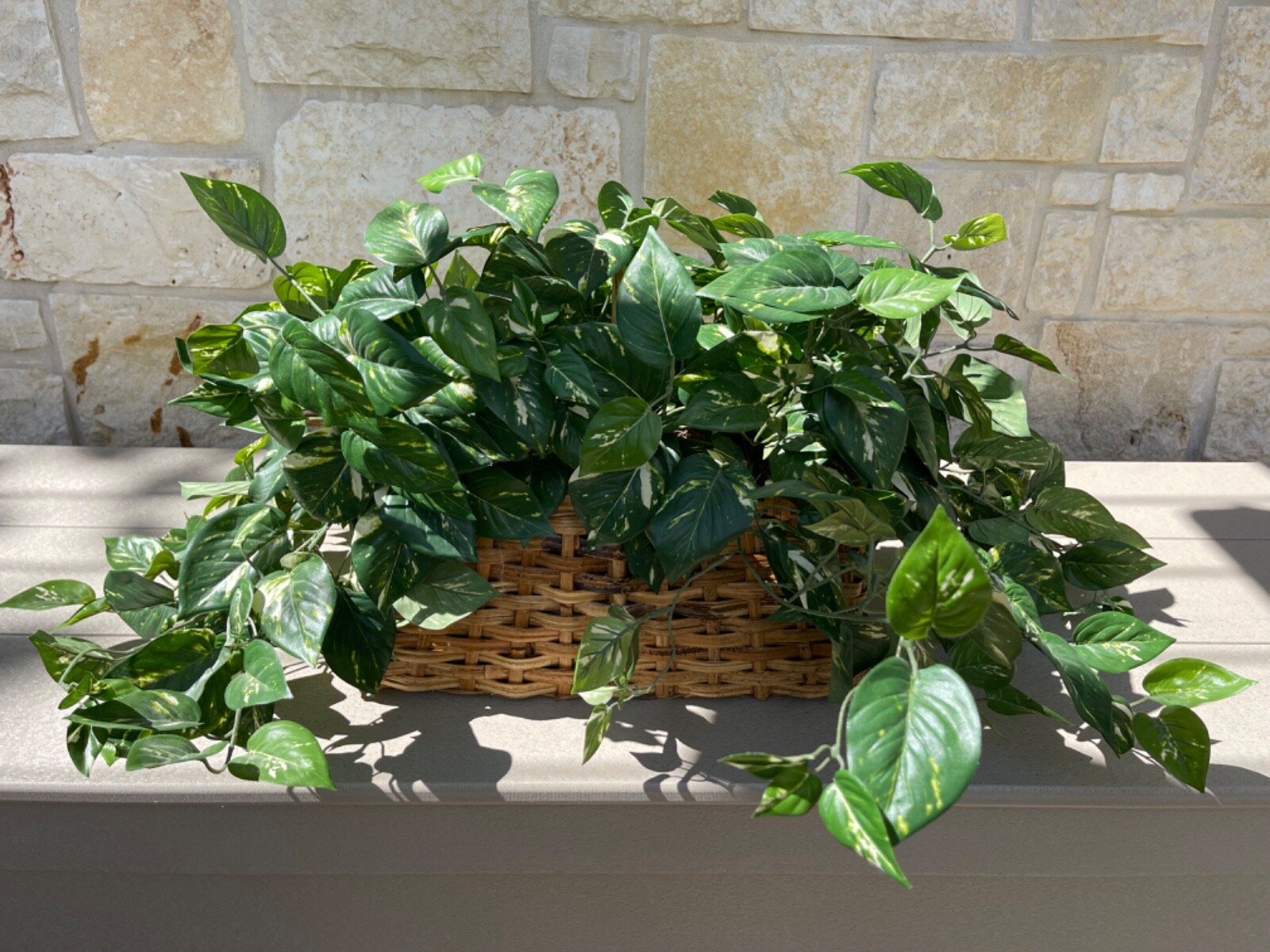 Large Artificial Variegated Philodendron in Handled Woven Bamboo Basket