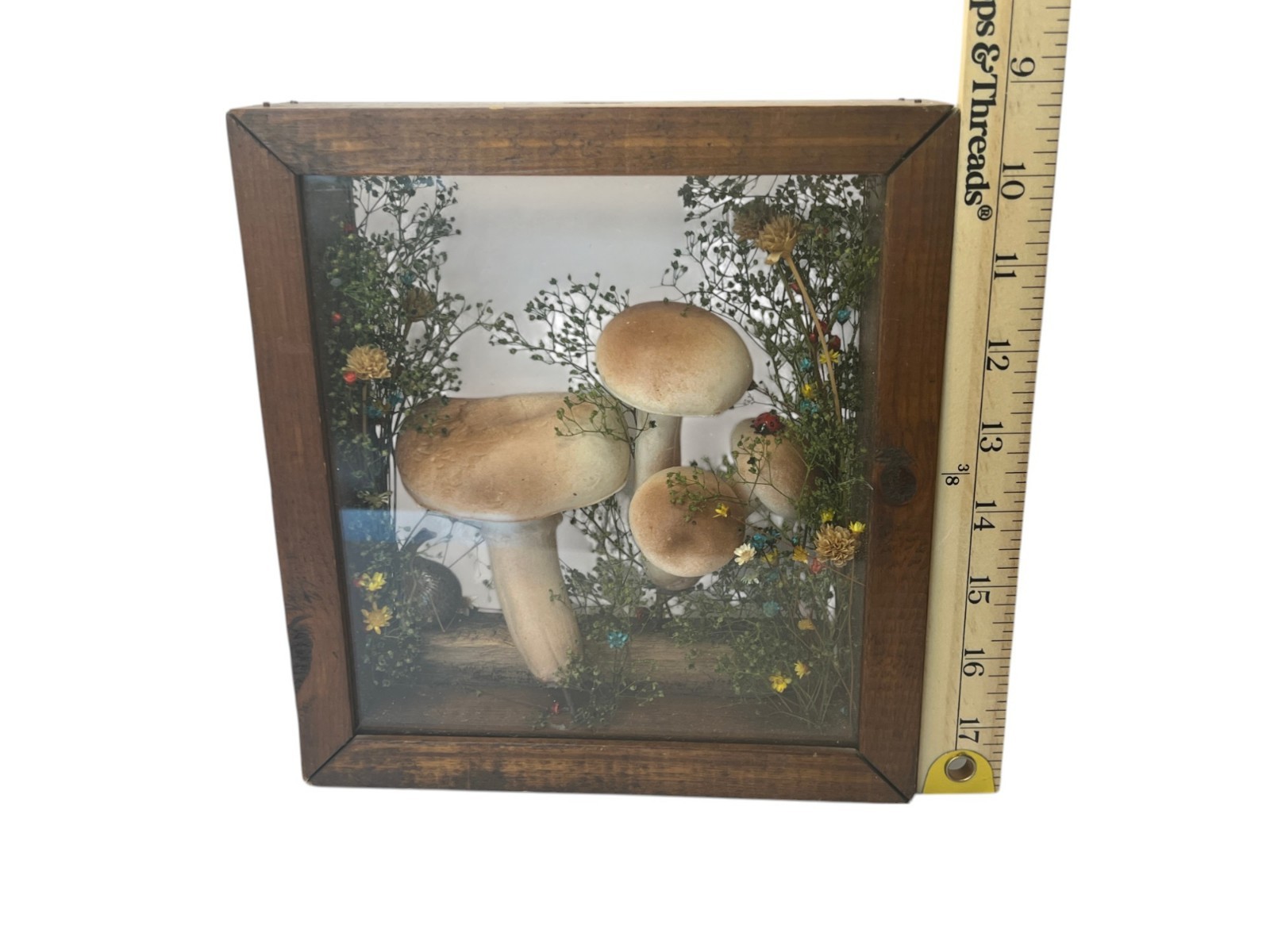 Vtg Cottage Core Mushroom Shadow Box Wood 1970s Decor Fairy Garden MCM Merry