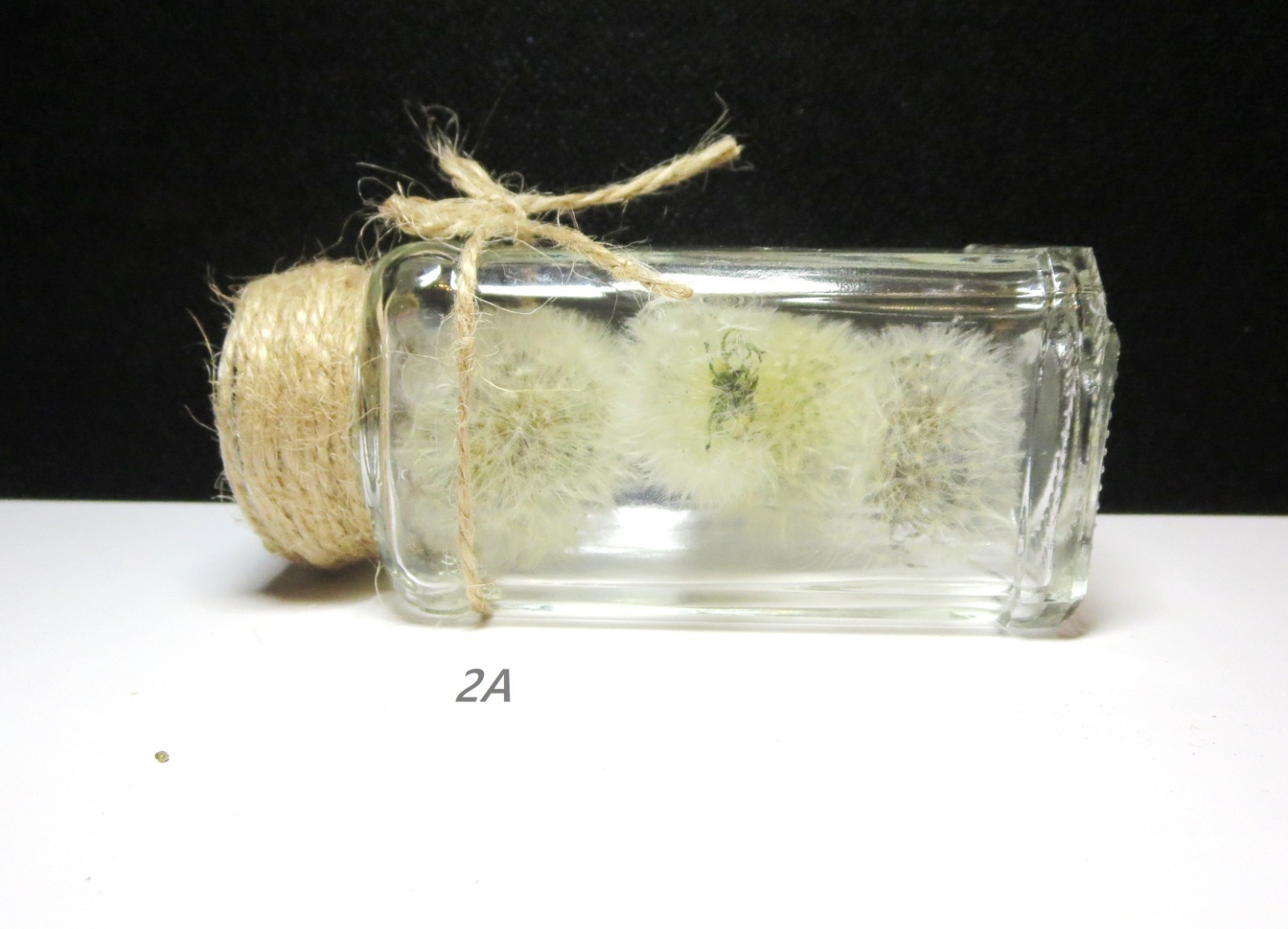 Dried Dandelion Art Dandelion Flower For Craft Dried Flowers decor Dandelions