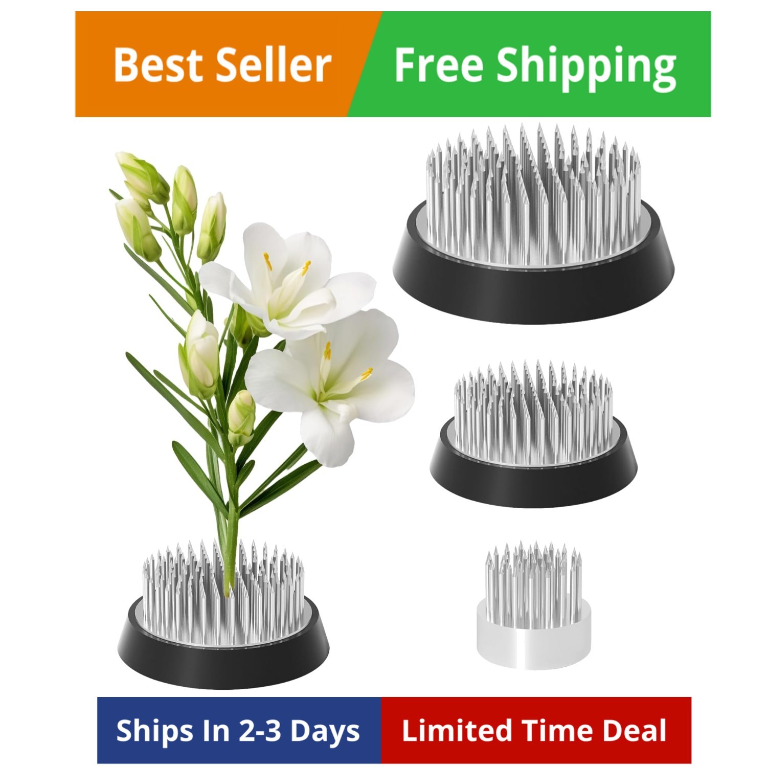 Flower Frogs Arranging Supplies Ikebana Kenzan Pin Holder Plant Fixation Tools