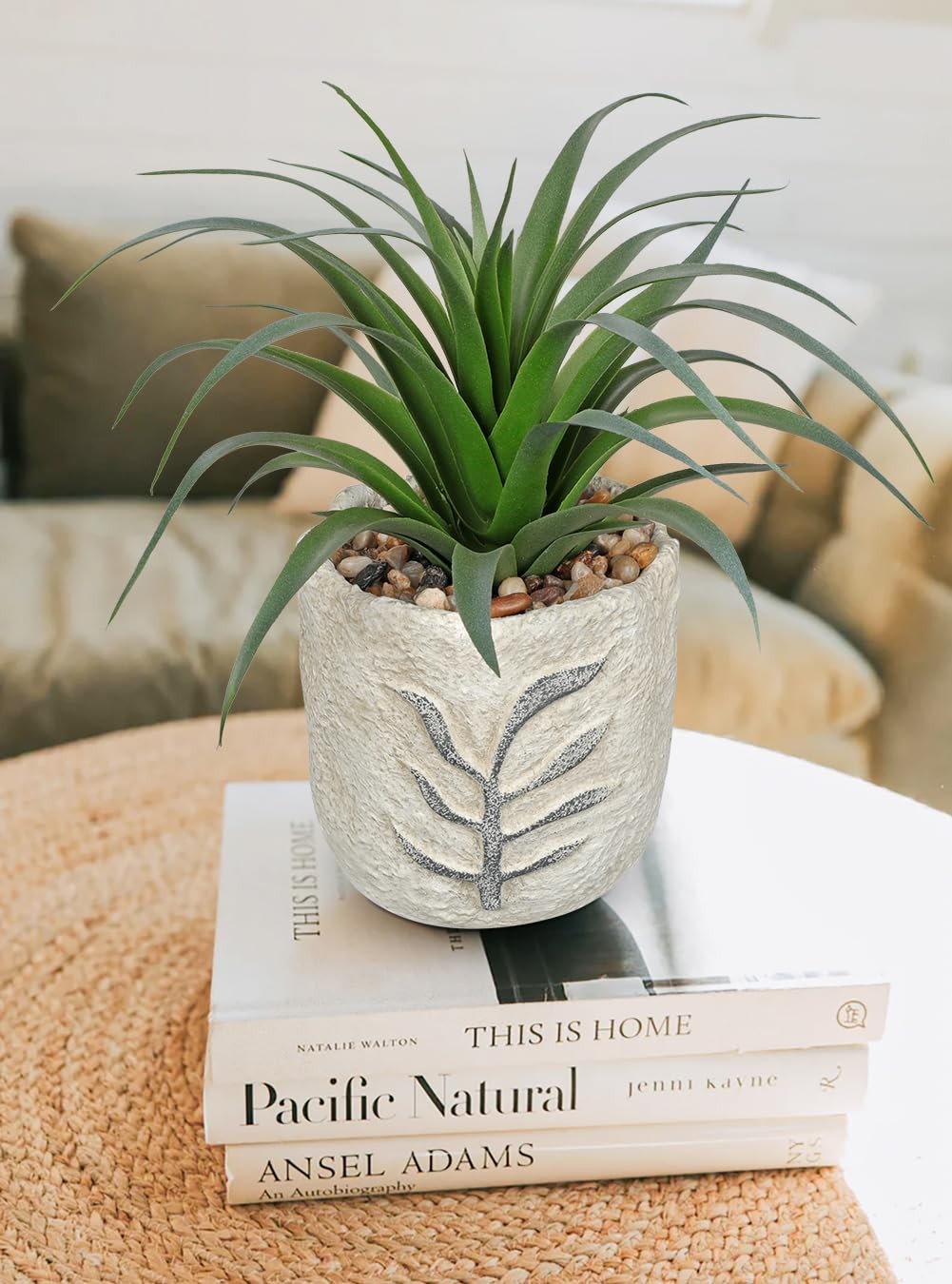 2 Pack Small Artificial Succulents Plants Potted Fake Spiked Succulent Plant …
