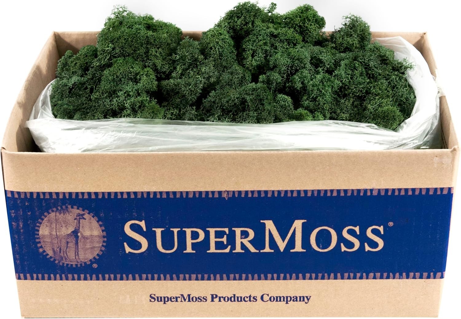 Long Lasting Preserved Moss, Forest Green, 3lbs