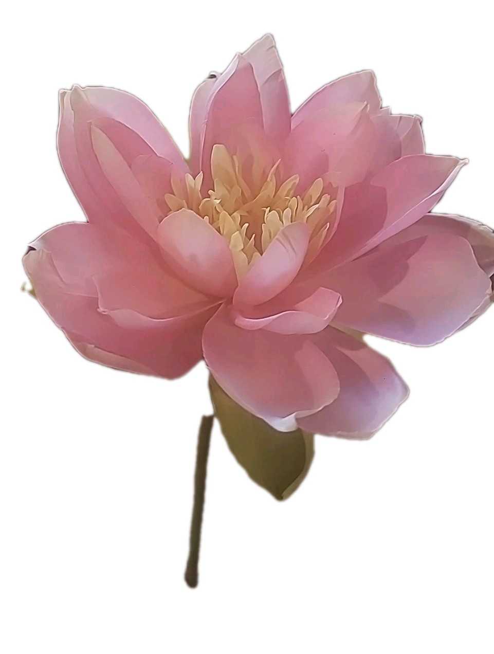 Set Of 8, 25″ Silk Artificial Realistic Pink 9″ Lotus Blossom Flower Decoration