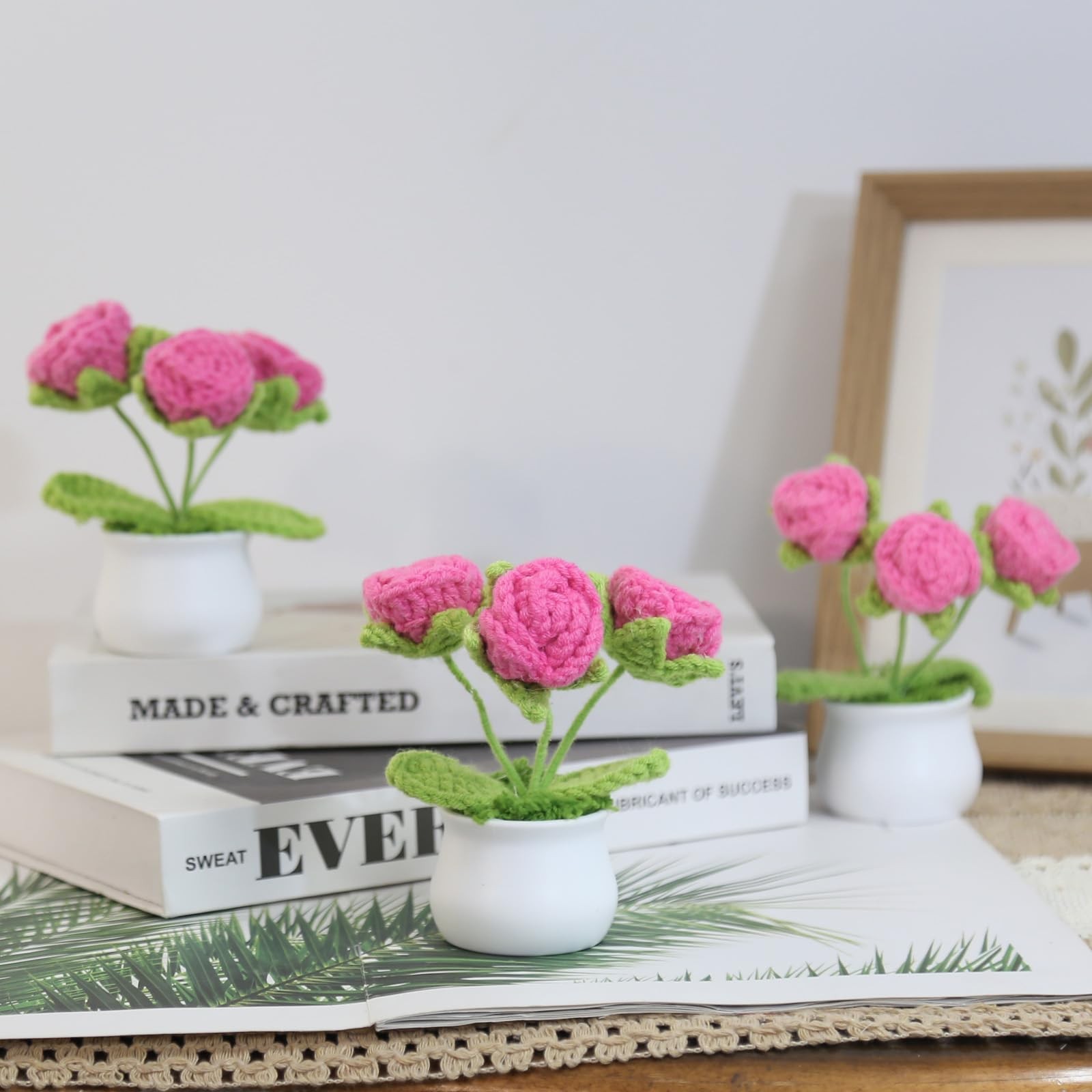 2PCS Crochet Flowers Hot Pink Roses Crochet Roses Mini Potted, Handmade Mini …