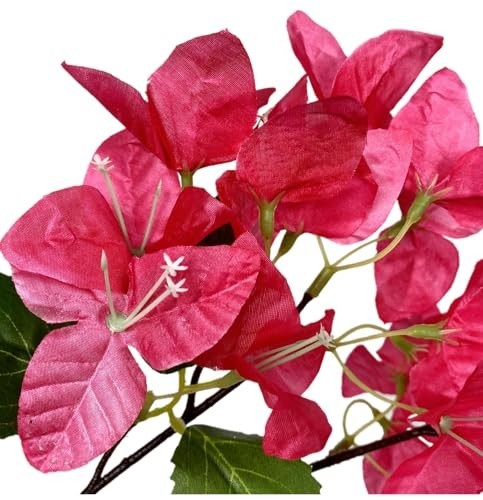 16 Pack Silk Bougainvillea Flower Stems – Fuchsia Long Branches for Home Wedding