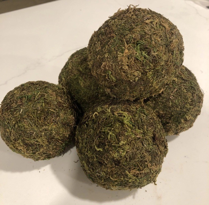 Natural Moss Balls Spheres 3-3.5 inches (5 Balls)