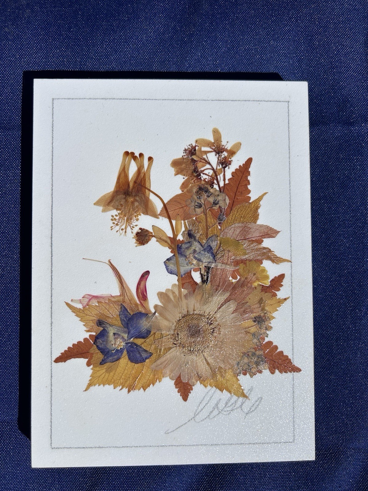 Vintage Pressed Flower Art Set 5 Botanical Floral Plaques Cottagecore Wall Decor