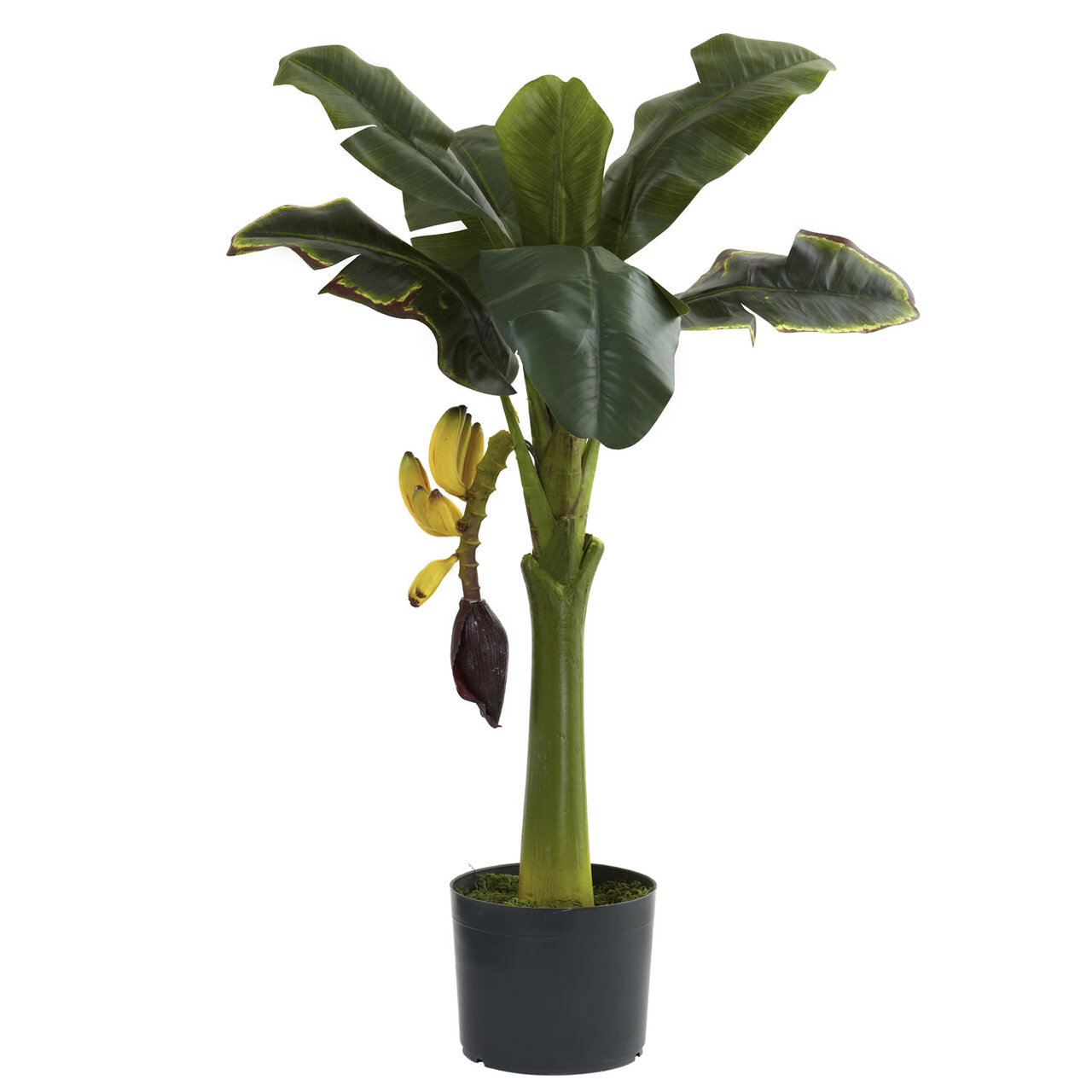 3′ REALISTIC ARTIFICIAL SILK BANANA PALM TREE – (REAL TOUCH)