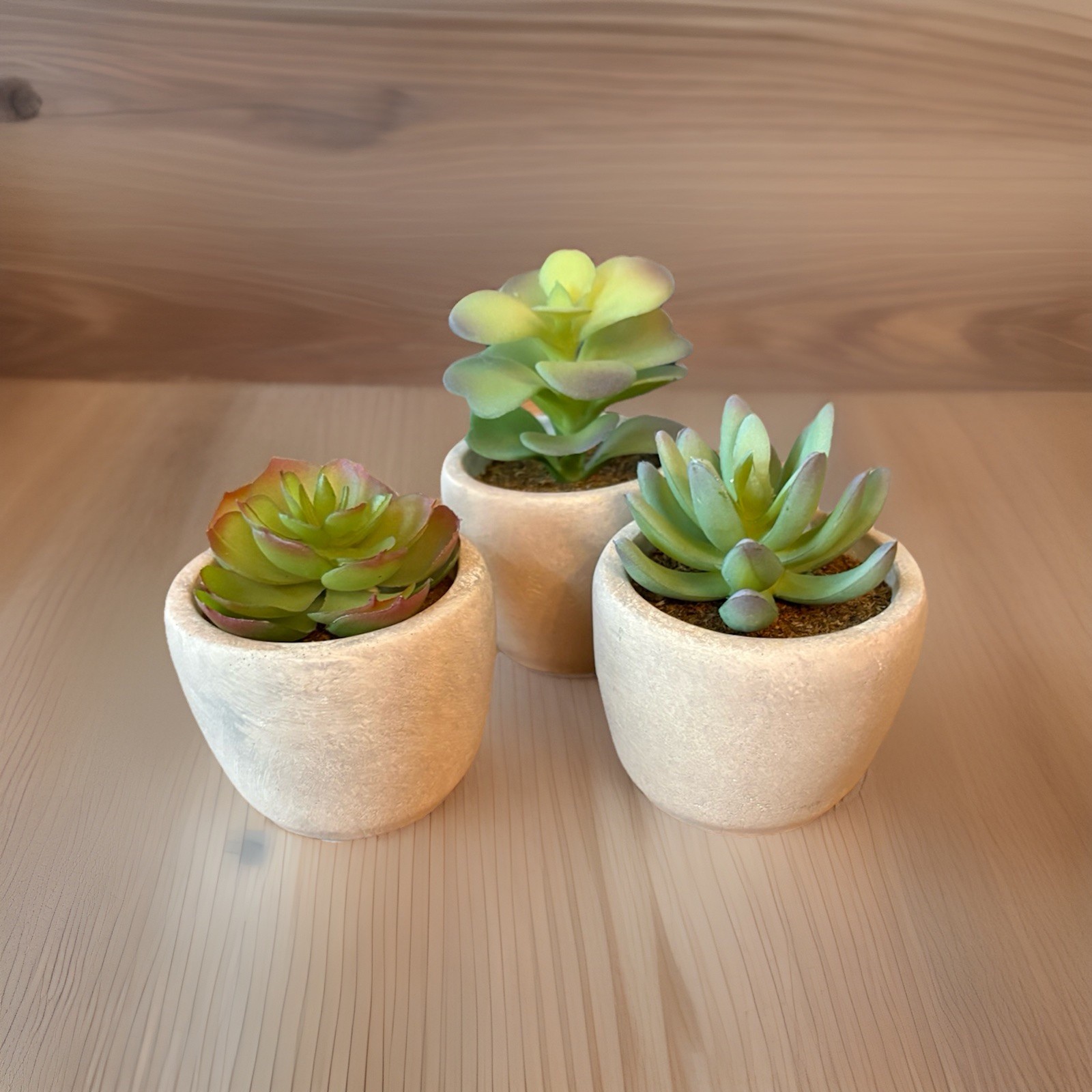Set of Three Faux Succulents In Ceramic Pots 4 – 5.5 Inches Tall New Never Used