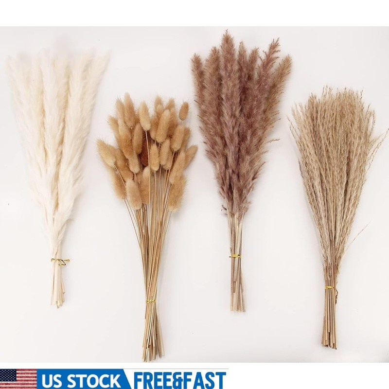 Natural Dried Pampas Grass Bouquet 100 Pieces Decor Home Wedding Events New
