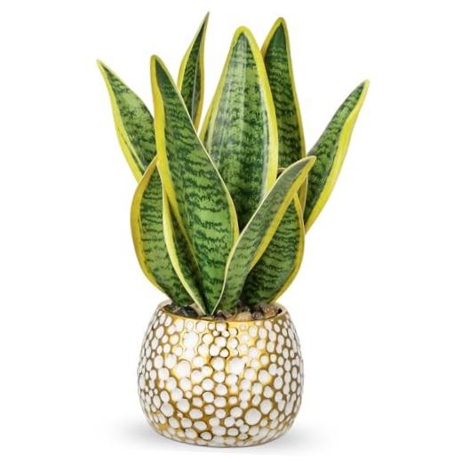 Artificial Snake Plant Potted Faux Sansevieria Trifasciata Green-13″ Style 2