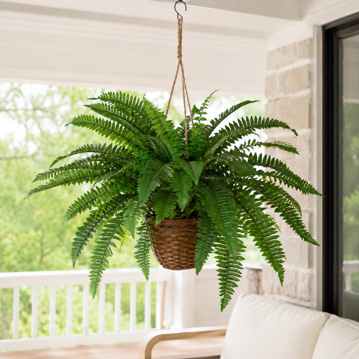 18″ Boston Fern Hanging Basket