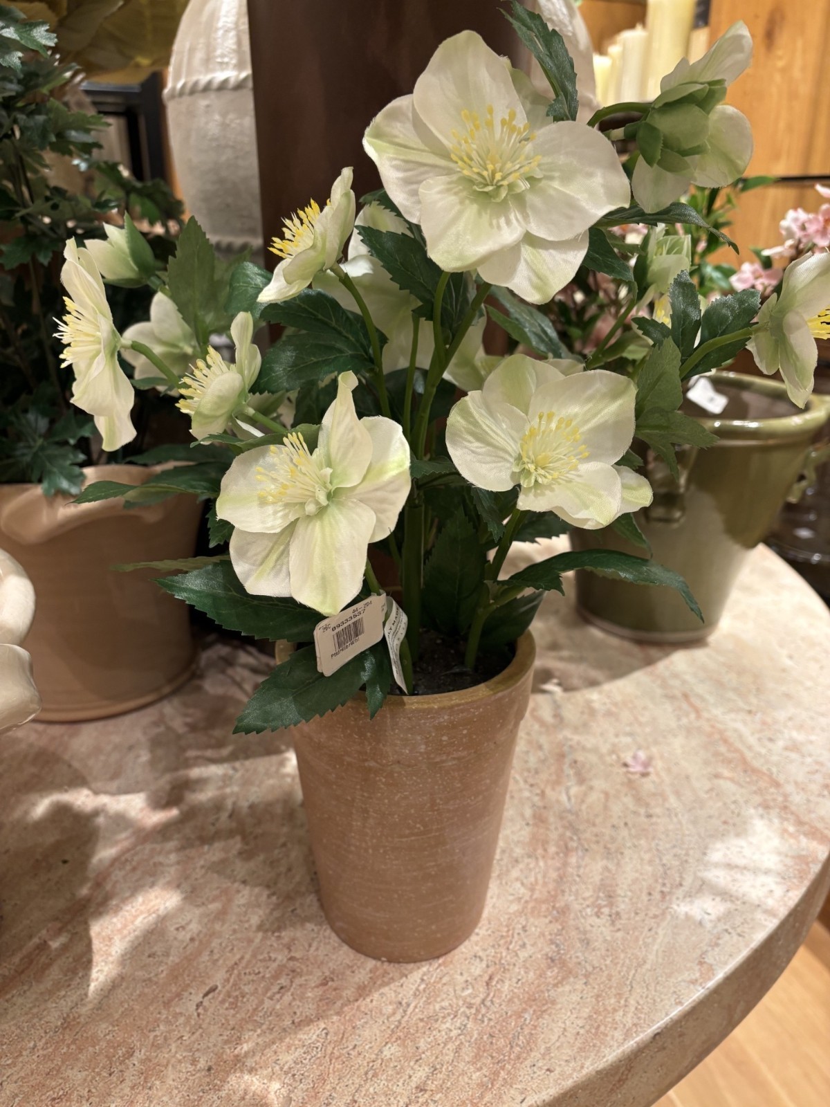 NEW Pottery Barn Faux White Hellebore Floral Flowers Terra Cotta Potted Plant
