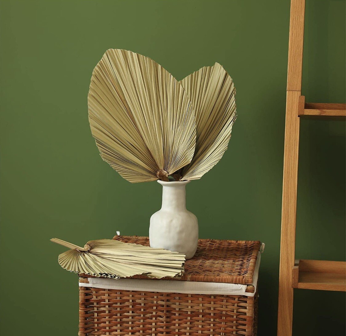 Natural Large Dried Palm Leaves 3 Pc 17.7 in Dried Palm Spears Boho – A0114
