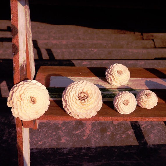 30 Zinnia Sola Wood Diffuser Flowers 4 cm Dia. for Decorate Craft