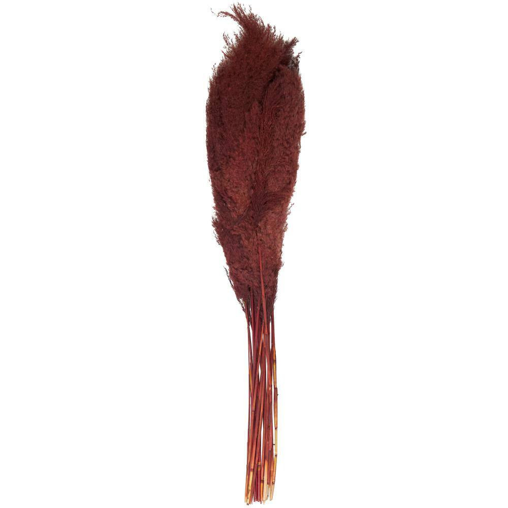 43 In. Pampas Grass Natural Foliage with Long Stems (1 Bundle)