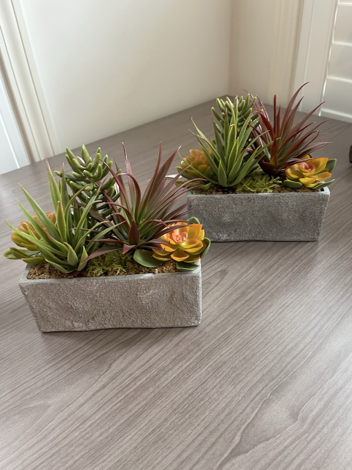 Set Of 2 Faux / Artificial Succulent Garden With Concrete Planter 3”x 7”x3”