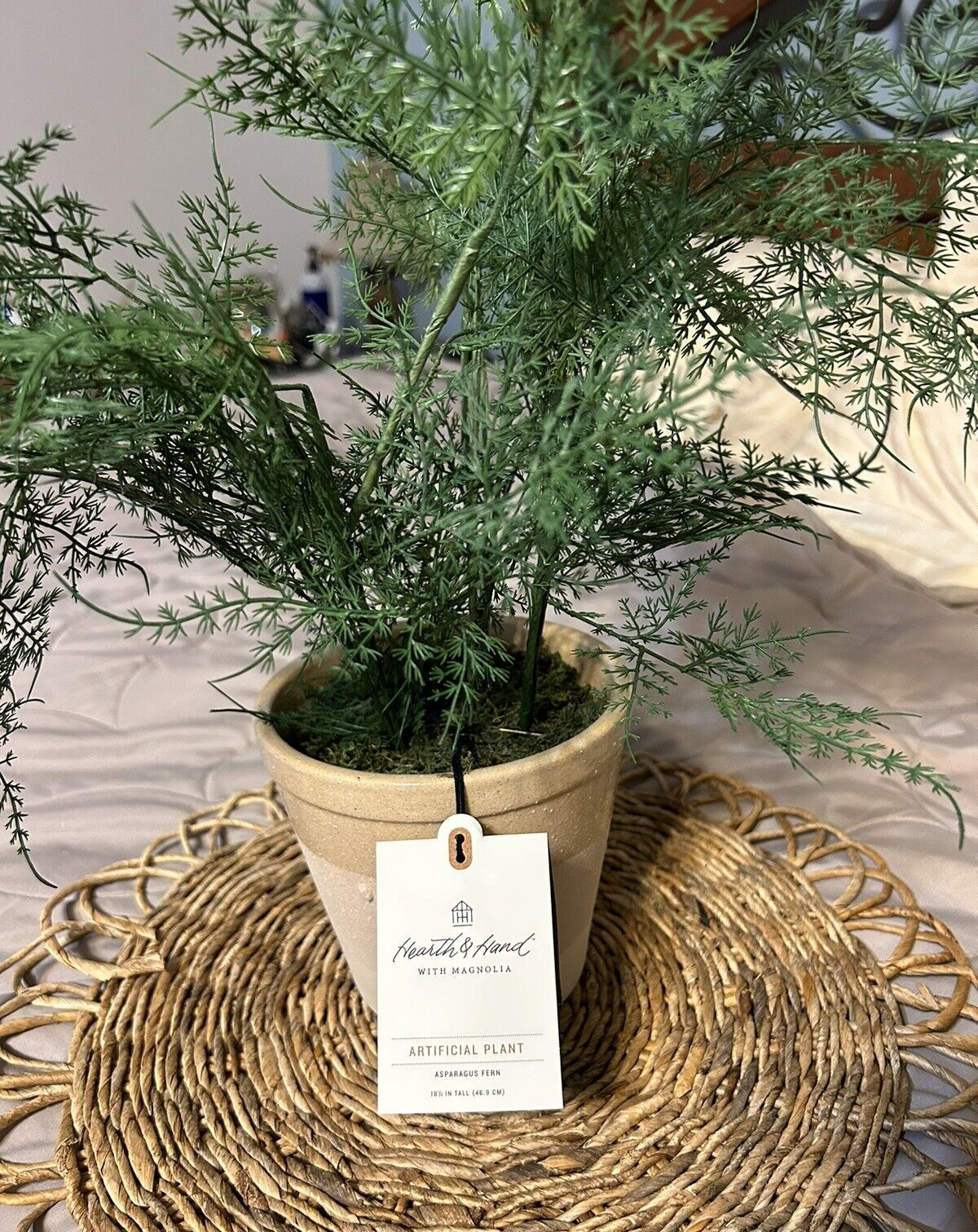 Hearth and Hand with Magnolia Artificial Faux Potted Plants Asparagus Fern