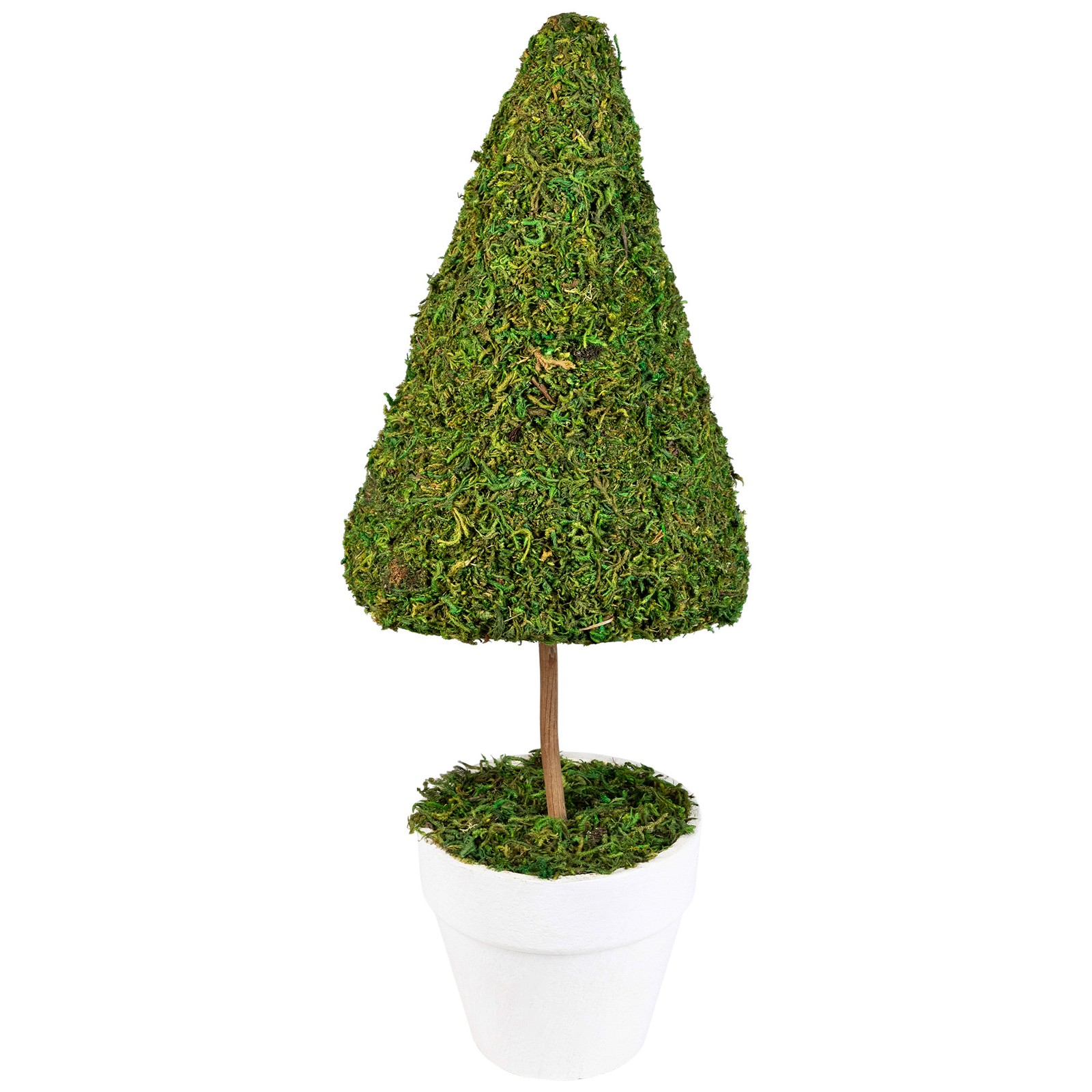 Northlight 20.5″ Green Reindeer Moss Artificial Spring Floral Topiary Tree