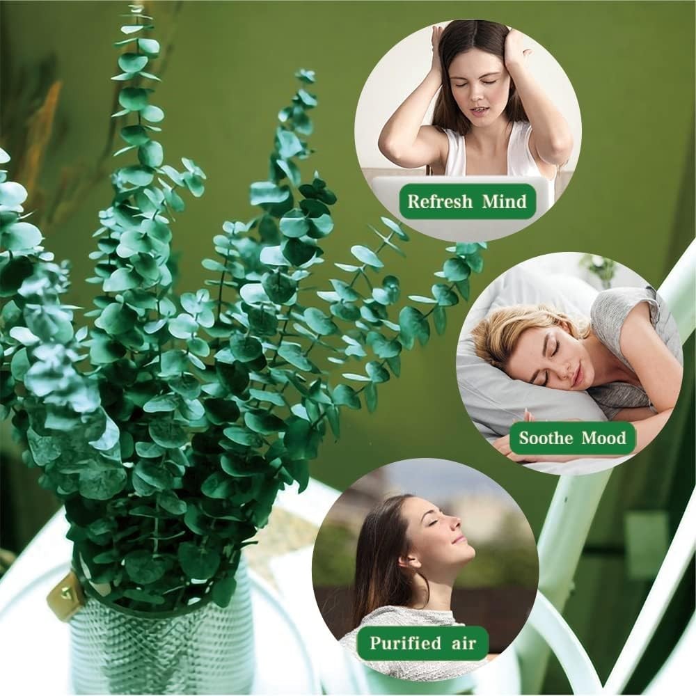 20 tallos de eucalipto secos preservados para Decoración de ducha,Florero Hogar