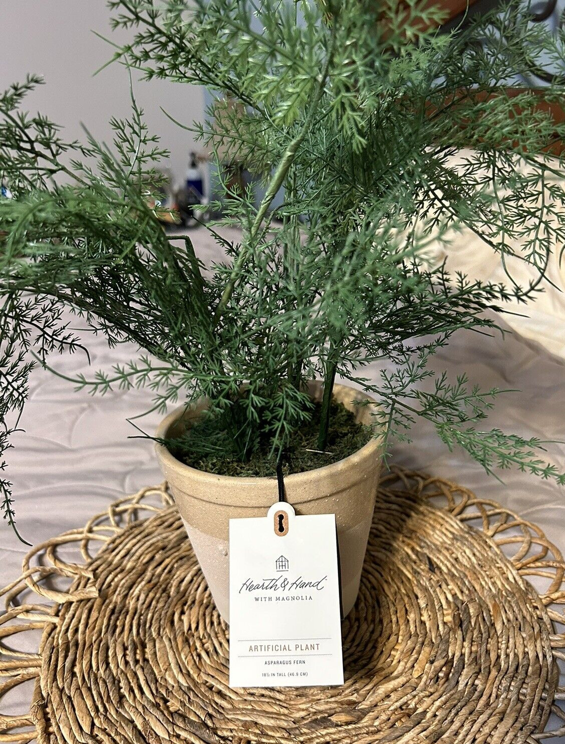 Hearth and Hand with Magnolia Artificial Faux Potted Plants Asparagus Fern