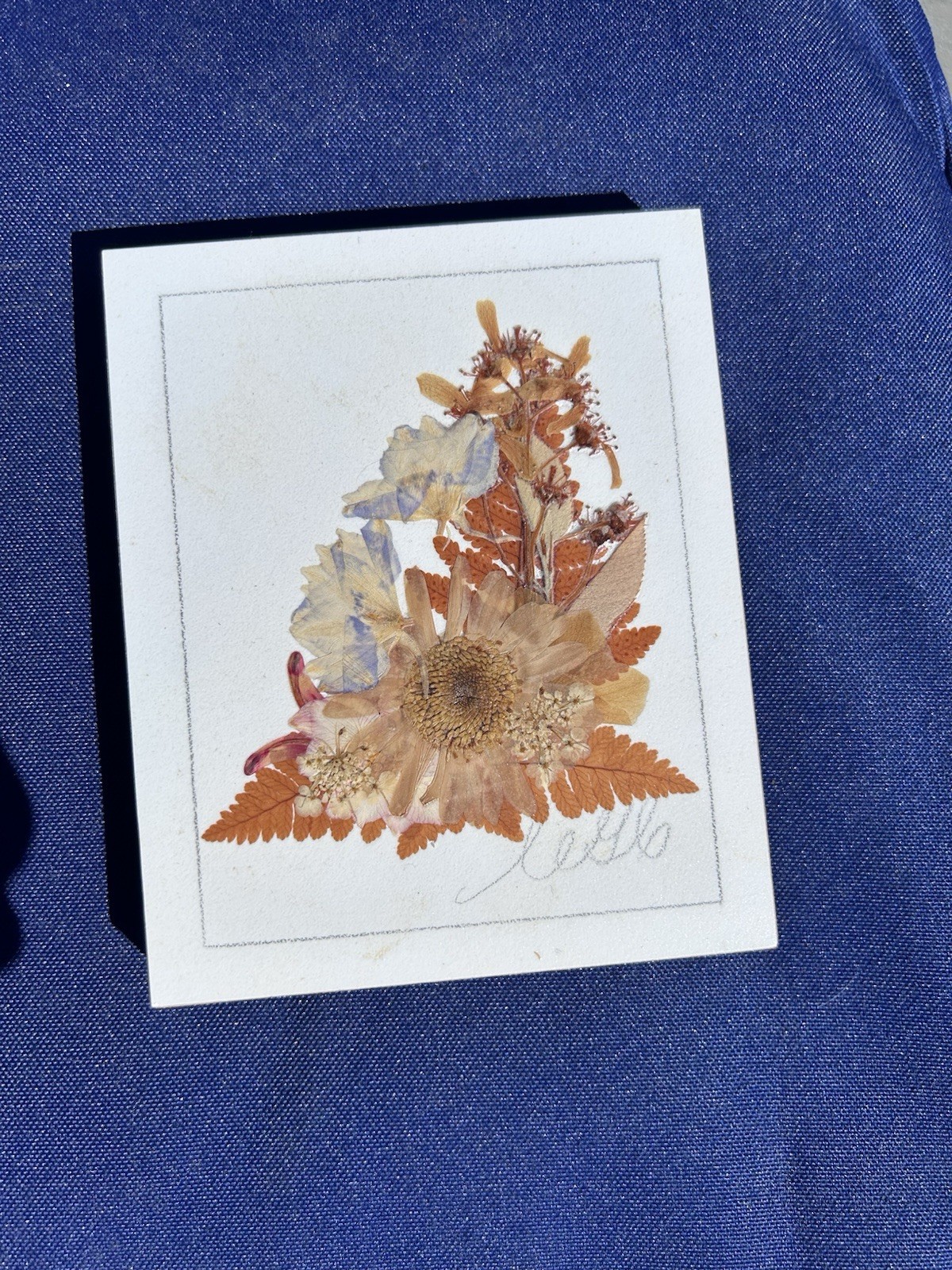 Vintage Pressed Flower Art Set 5 Botanical Floral Plaques Cottagecore Wall Decor