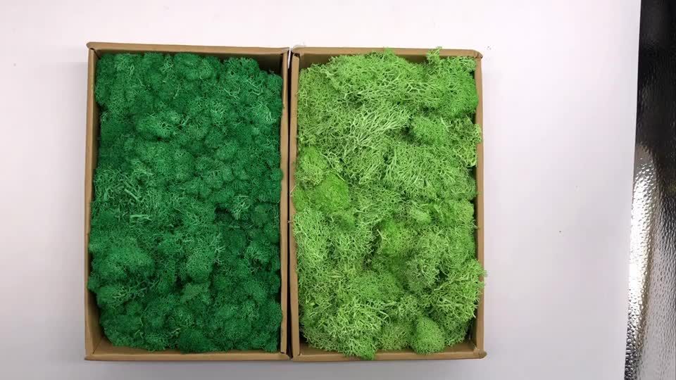 20g/40g Moss Grass Artificial Plant Eternal Life Moss DIY Home Garden Decor NEW
