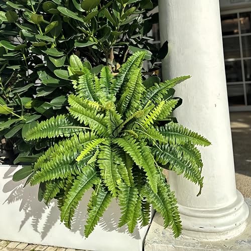 Fake Ferns – 2 Packs Artificial Ferns for Outdoors & Indoors, 45in Large