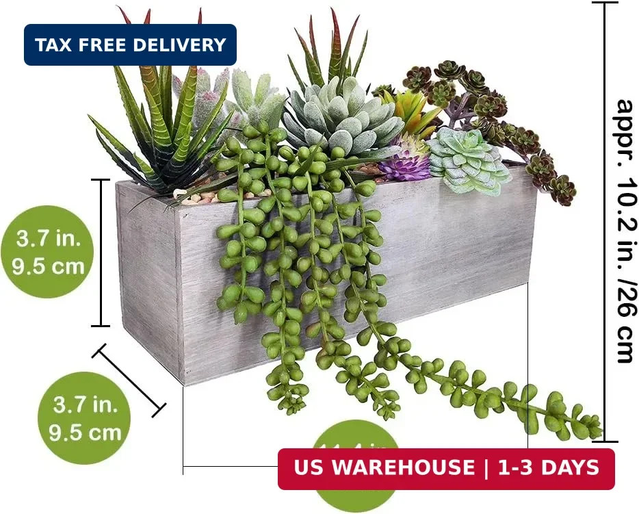 Supla Artificial Potted Succulents Plants Arrangement Fake Succulent Plants in R