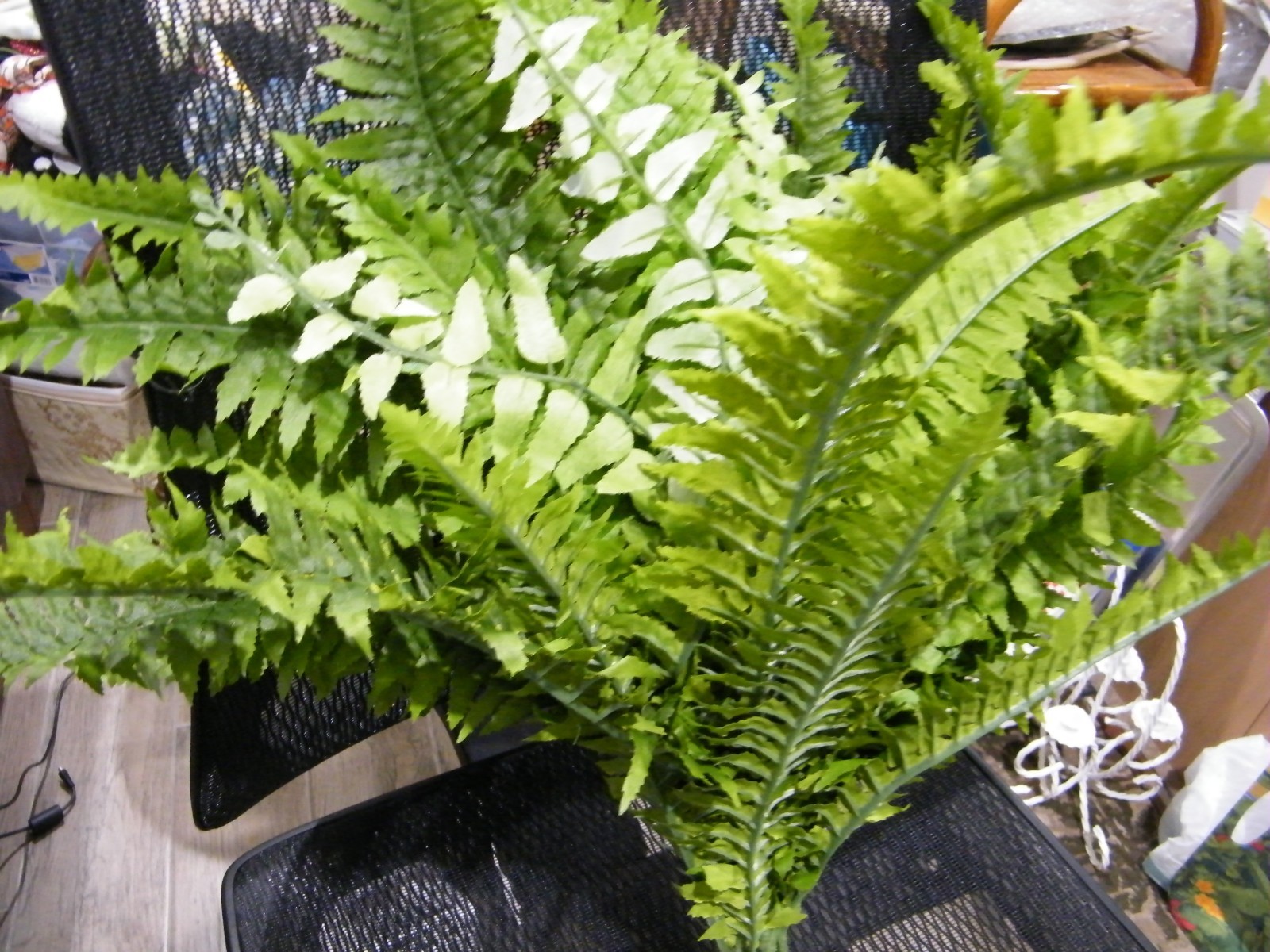 3X NEW ARTIFICAL BOSTON FERN LOVELY HOME DECOR