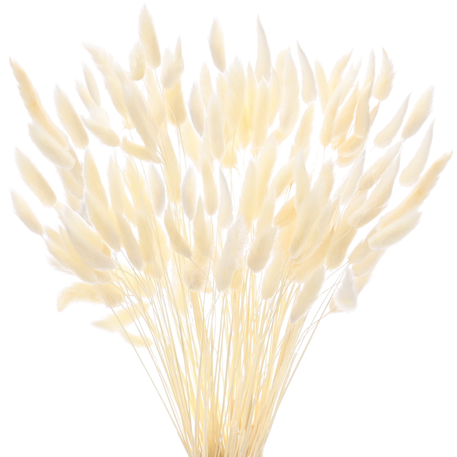 180-Pack Bunny Tails Grass 17 Inch for Home Decor/Wedding [White]