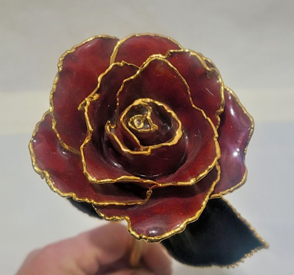24 Kt. Gold dipped real red Rose