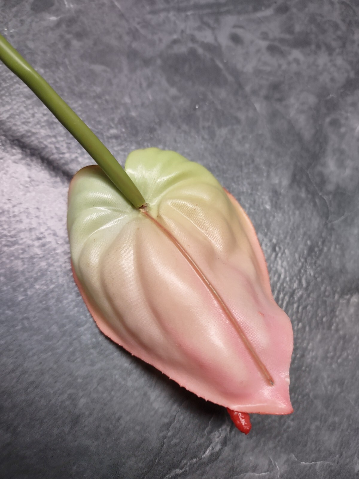 25″ MinI Anthurium stem cream/pink. Tropical stems Hawaiian flowers .