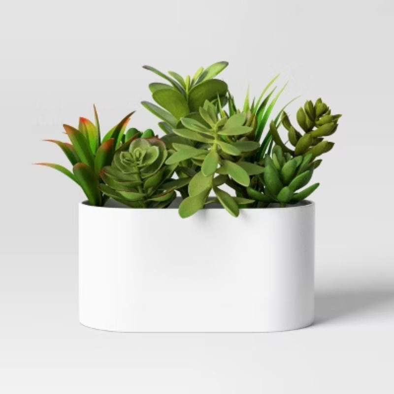 Succulent Arrangement in Long White Pot