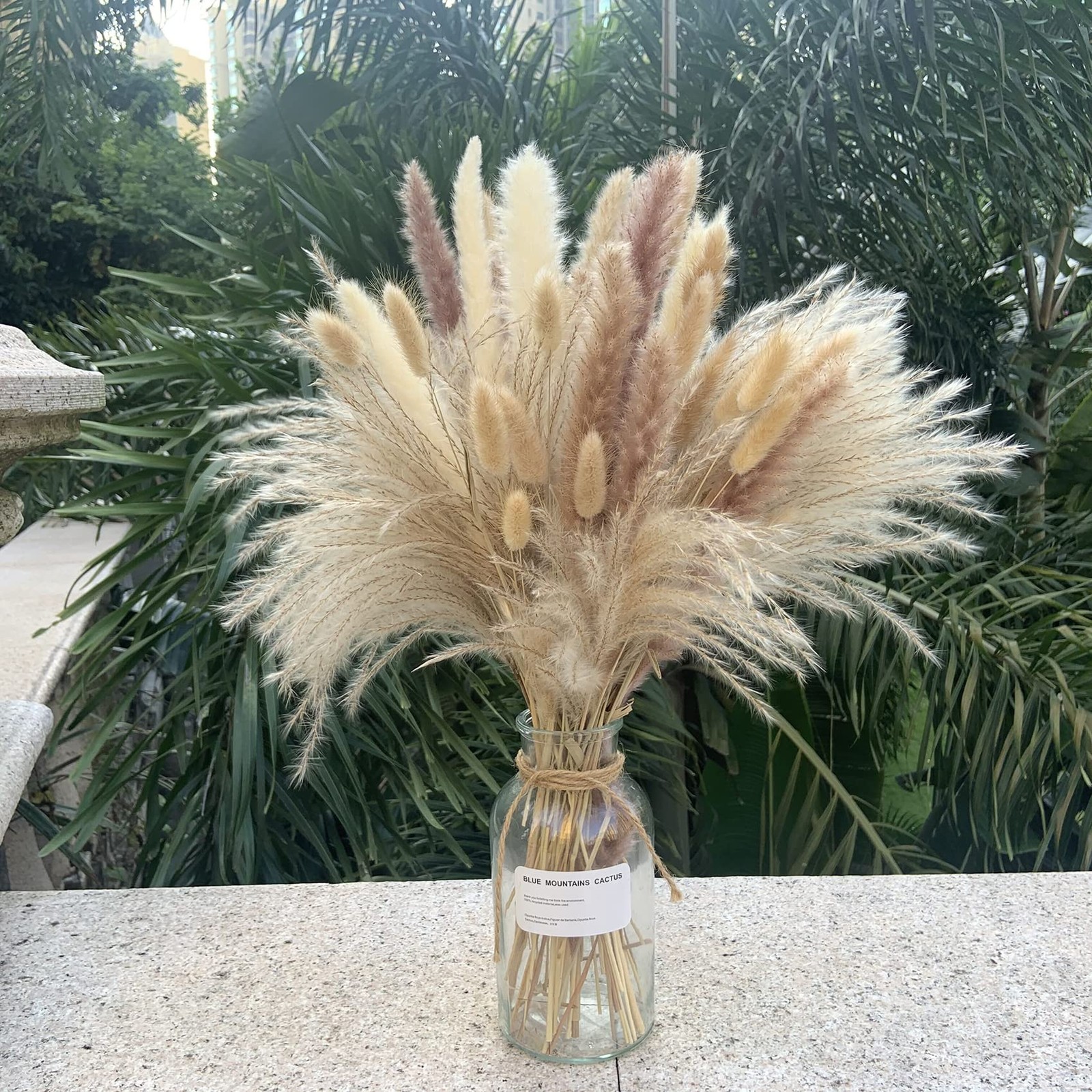 Pampas Grass Decor 17.5inch Natural Fluffy Dried Flowers for Home Wedding Decor