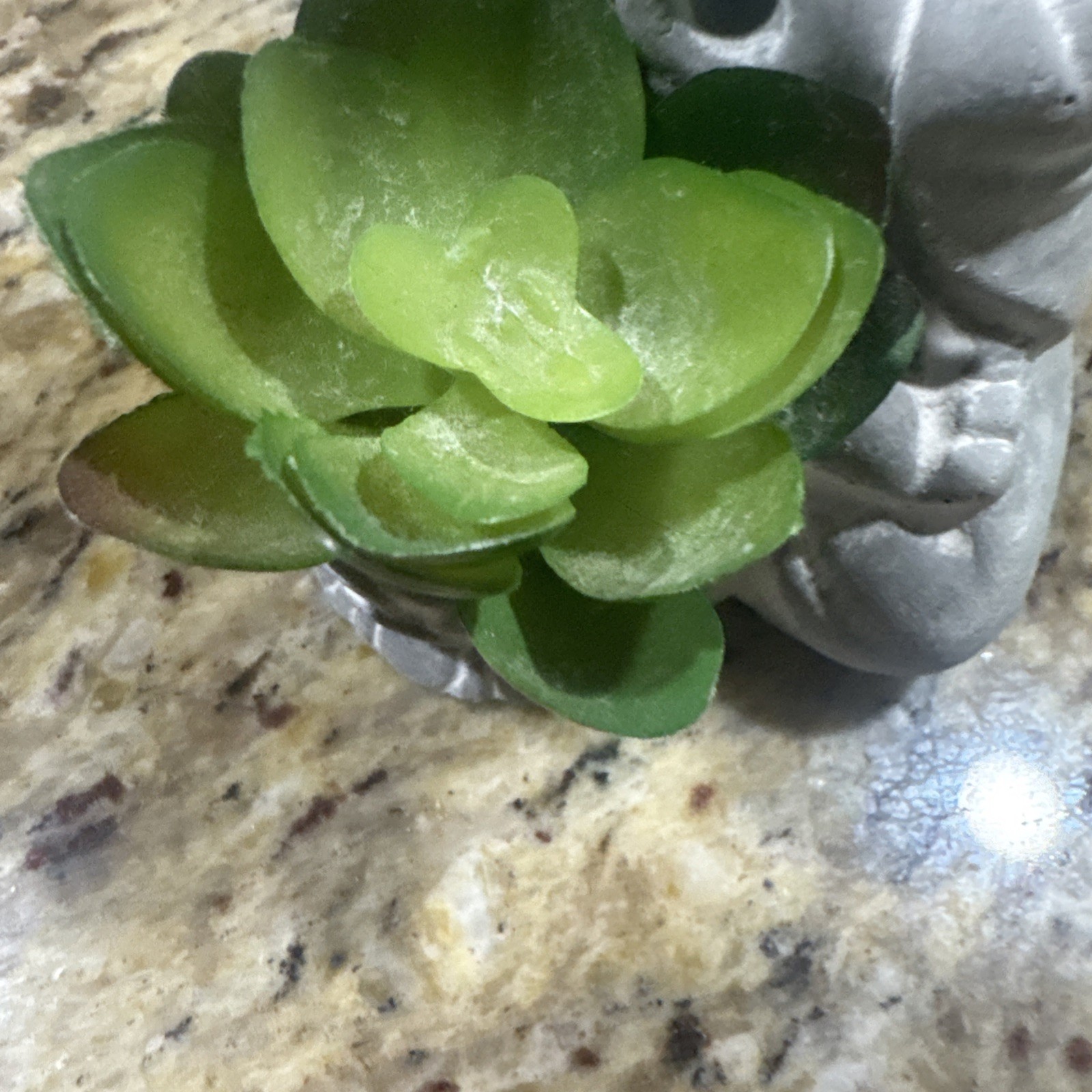Budduah Plant Holder 6” Tall Succulent, Faux Plant Nice Cpix
