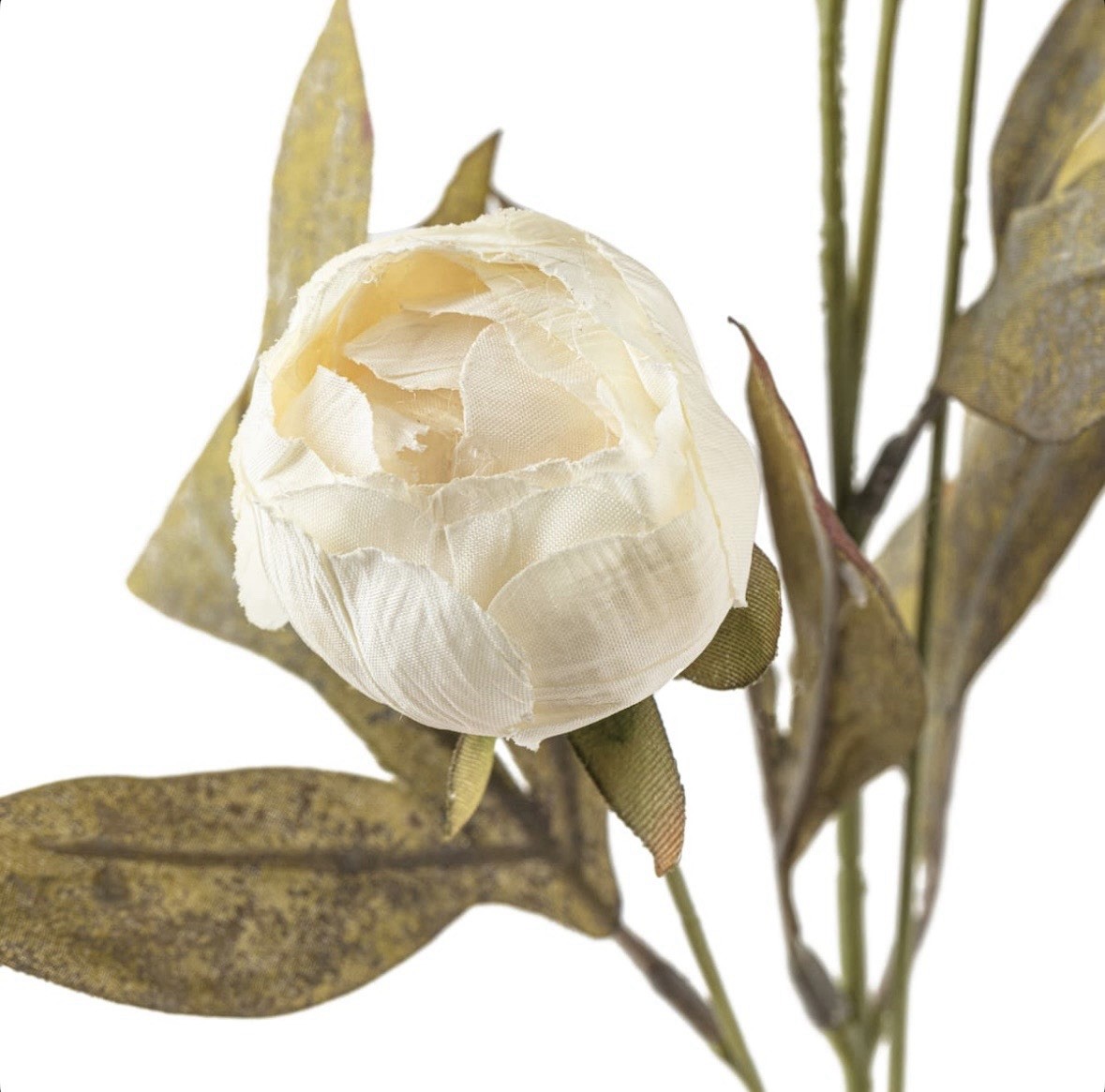 Peonies Michaels Cream Viral Ashland 8 Stems TikTok Sold Out 32 Flower HTF Peony