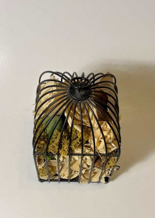Wrought Black Rim Wire Hanging Dried Beige Floral Flower Arrangements BIRD CAGE