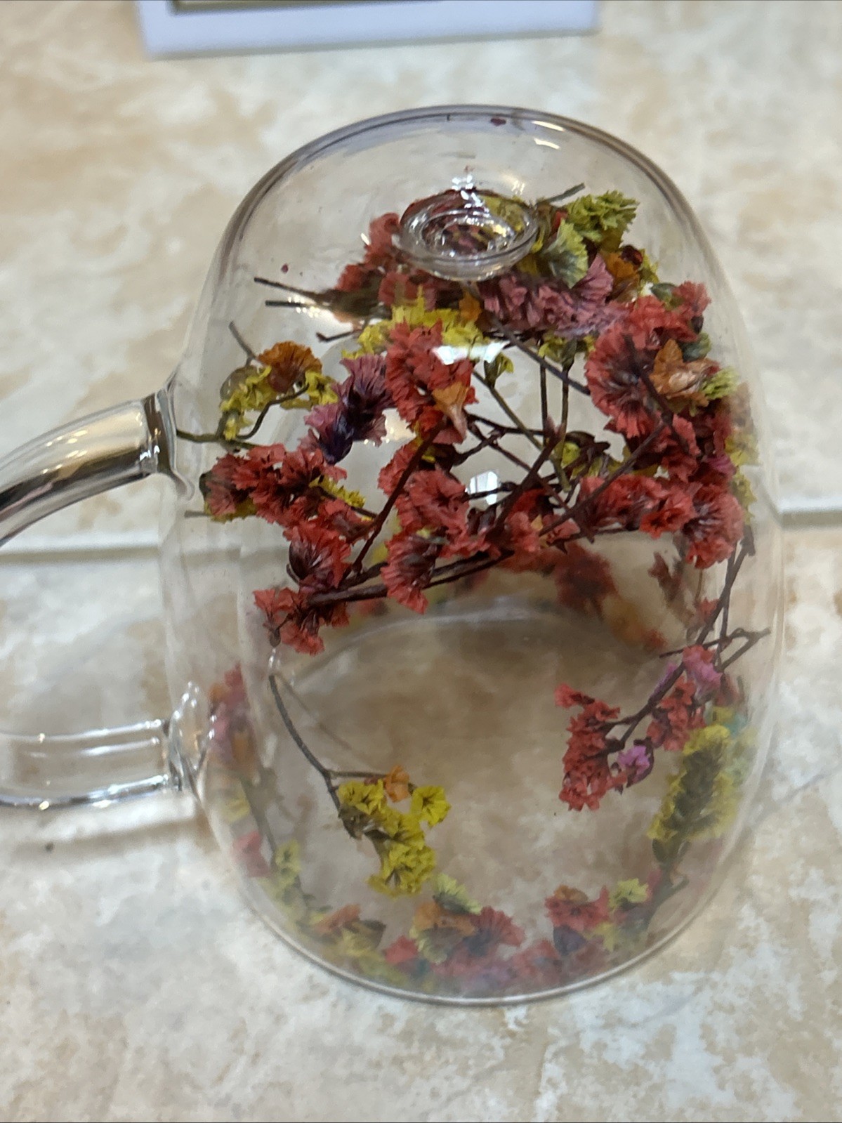 Floral Fusion Plastic Mug Double Wall Clear Coffee Tea Cup Botanical Dry Flower