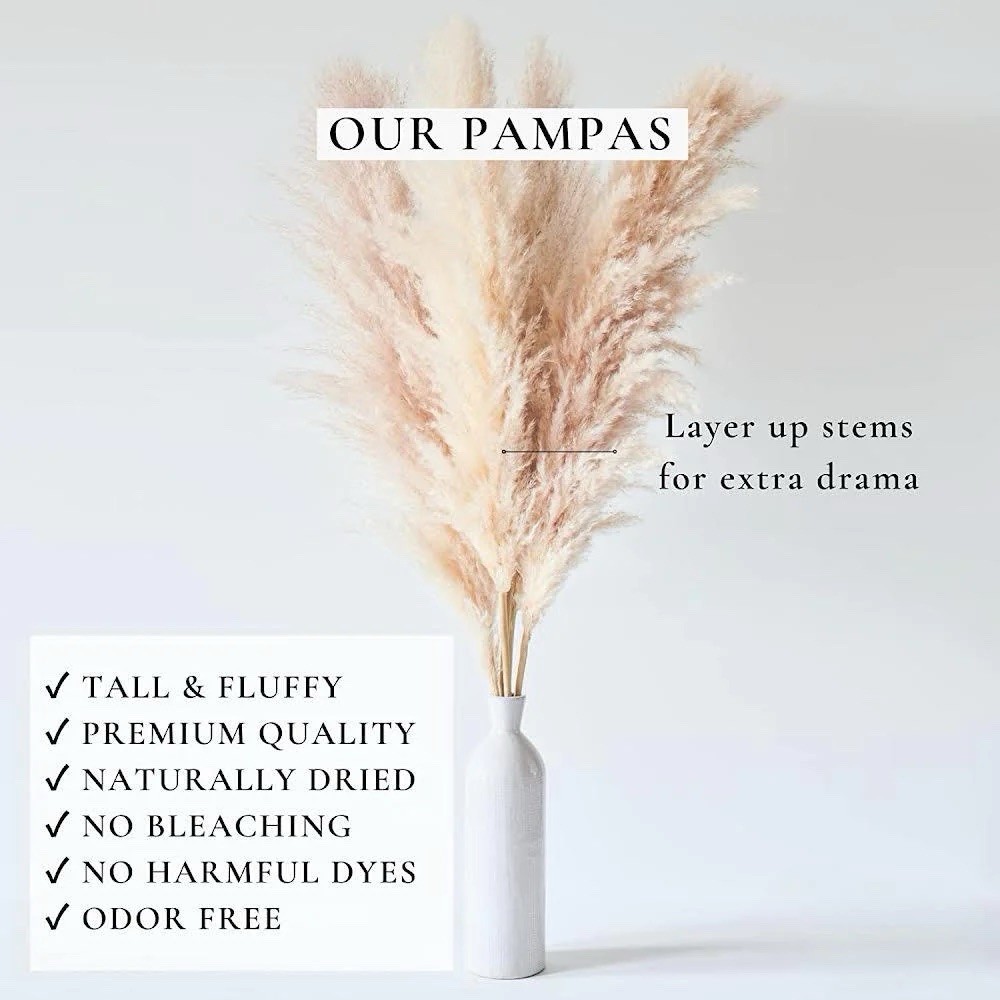 XL Pampas Grass 48”Inch 10 Stems Natural Decor Tall Boho Home Wedding