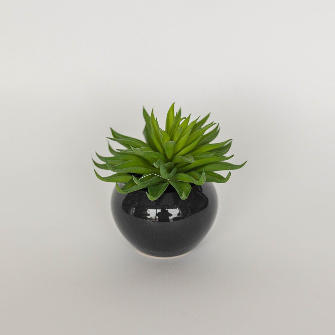 Succulent In Ceramic Pot Faux Plants And Trees