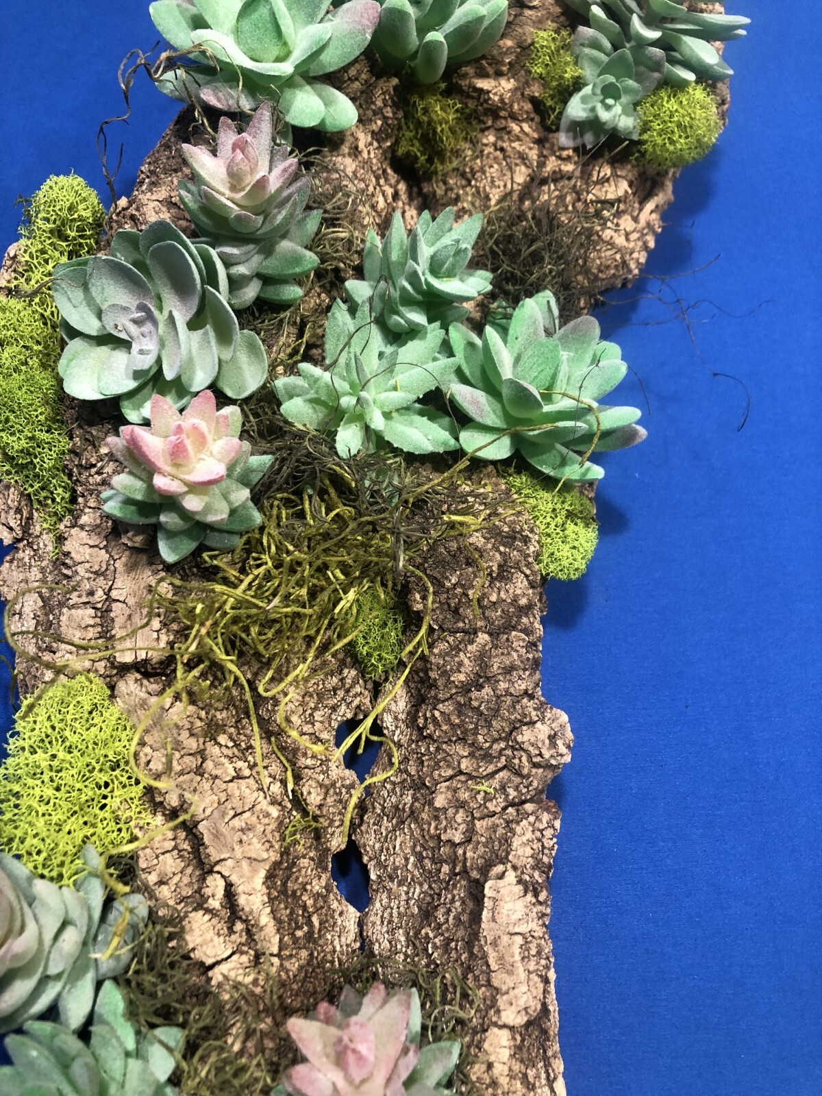 Artificial Succulent Air Plant Wall Art Home Office Mounted on Real Wood Bark