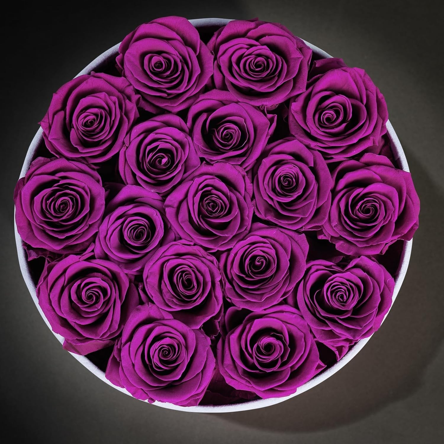 Vibrant 17 Roses in Velvet Box Ideal Gift for Valentines Day and Anniversaries