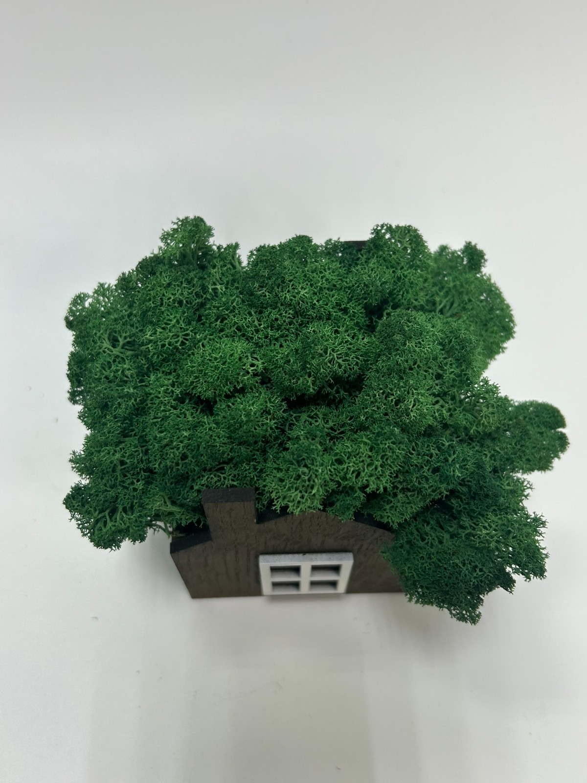 Handmade Wooden Moss House | Natural Eco Home Decor | Stabilized Moss Mini House
