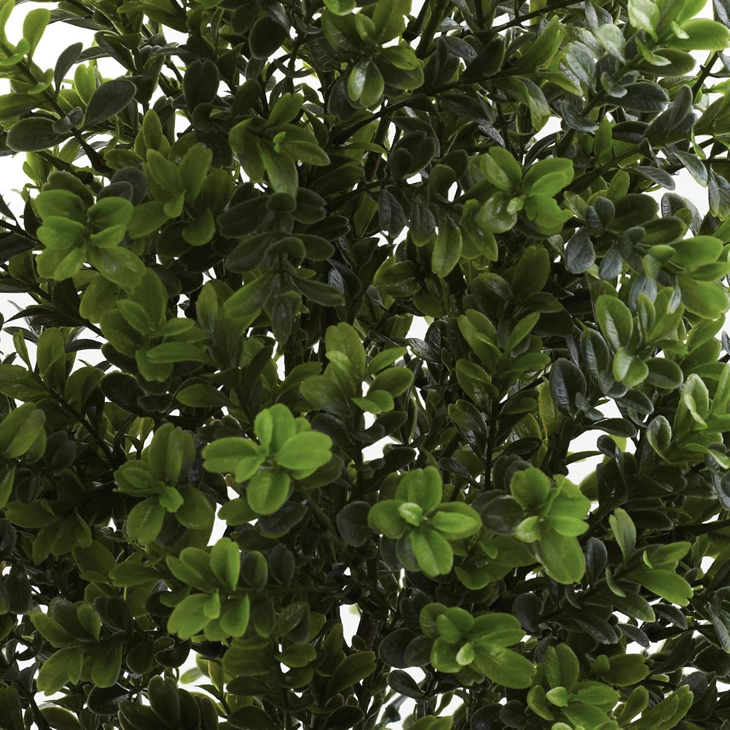 6112-S2 Bush (Set F 2) (Indoor/Outdoor), 2 Piece,Green