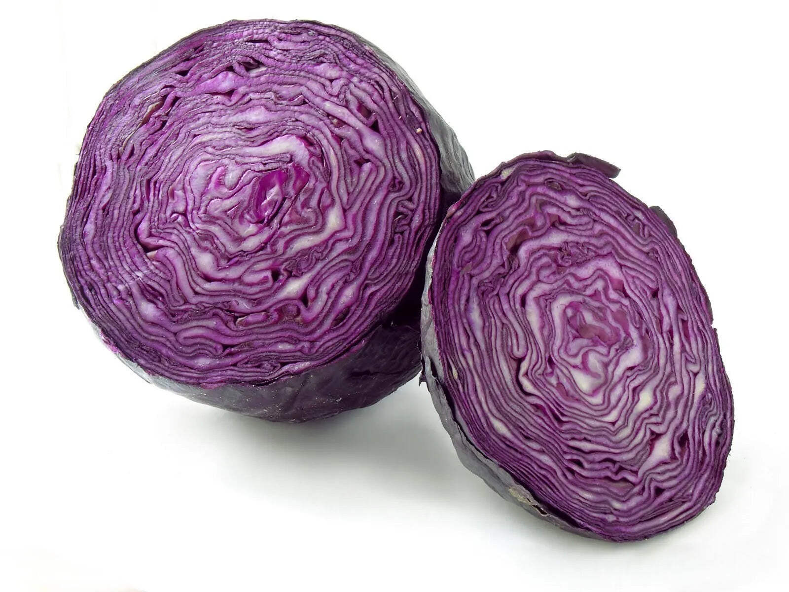 Brassica oleracea var. capitata f. rubra ‘Red Cabbage’ SEEDS – CABBAGE SEEDS