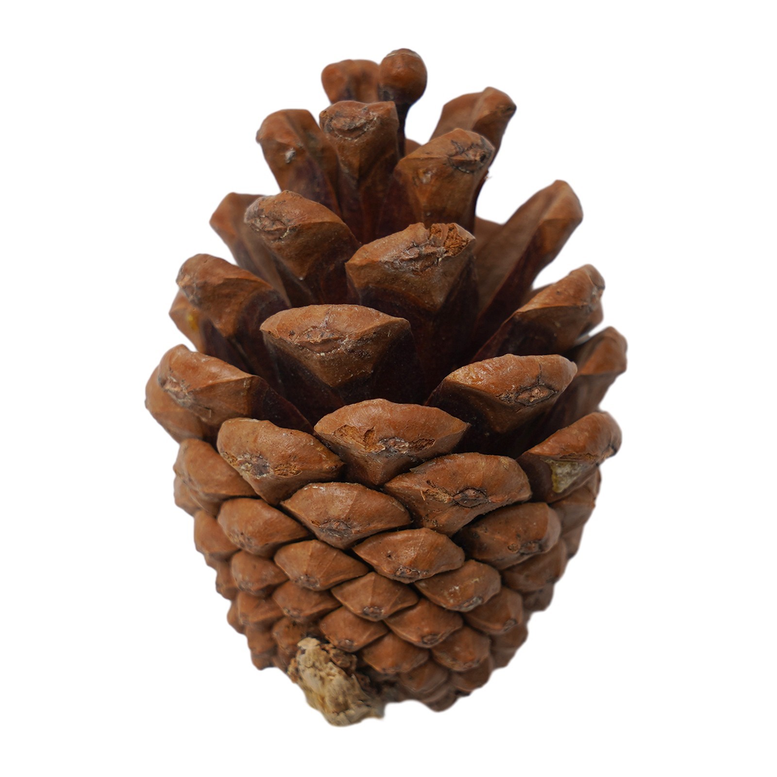 Harvest Decorations Props Artificial`Mini Pumpkin Gourd Berries Maple Leaf