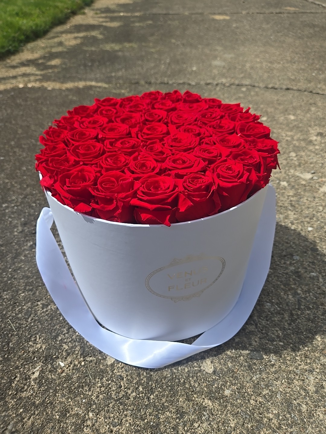 Venus et Fleur Red Roses Flower Box Arrangement Large White Container 40+ Roses