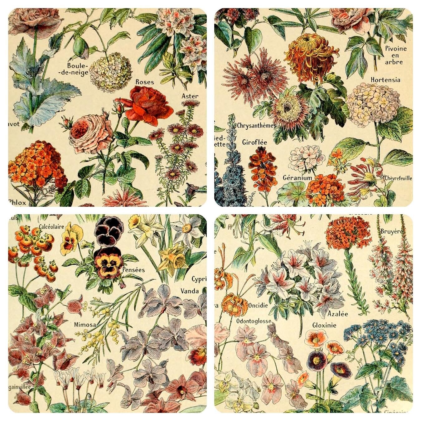Meishe Art Vintage Poster Print Flower Floral 23.6″L x 15.8″W, Multicolor